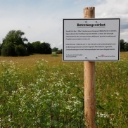 Landschaftsschutzgebiet Alter Flugplatz