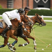 Bucherer Polo Cup