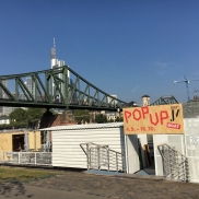 Lesung, Diskussion und Sukkot Dinner