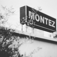 Im Kunstverein Familie Montez