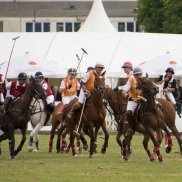 Frankfurt Gold Cup verschoben