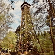 Planungen laufen auf Hochtouren