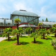 150 Jahre Palmengarten