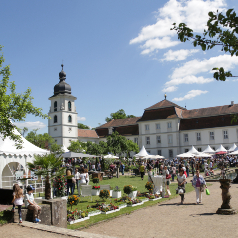 Ausstellung im Schloss Fasanerie