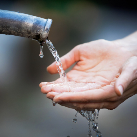 Steigender Wasserbedarf