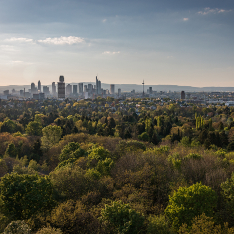 650 Jahre Frankfurter Stadtwald