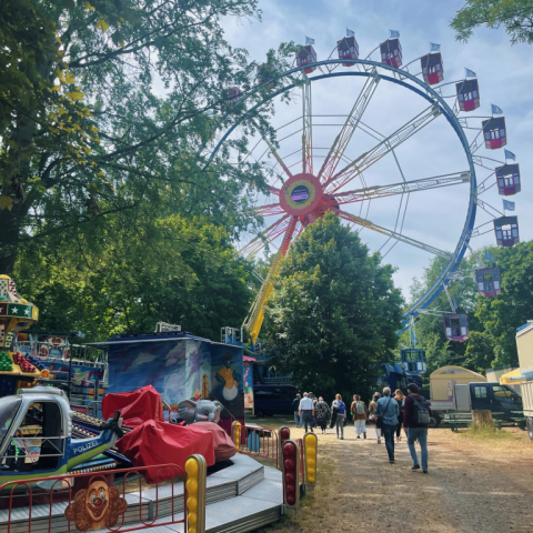 Frankfurter Wäldchestag