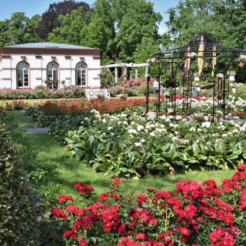 Palmengarten