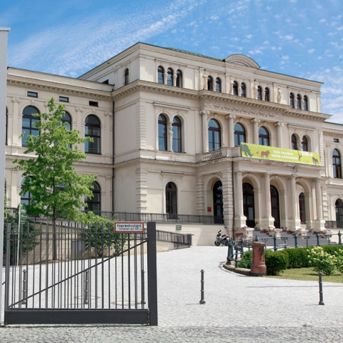 Festival im Zoogesellschaftshaus