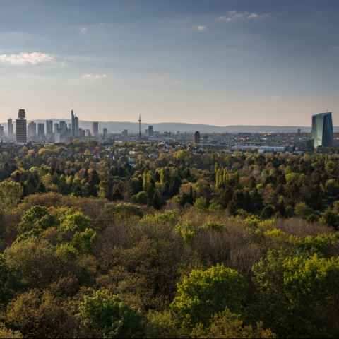 Klimaentscheid Frankfurt