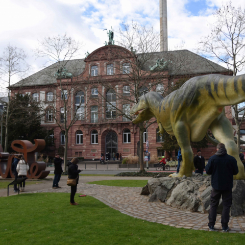 Senckenberg Museum