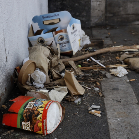 Frankfurt Cleanup