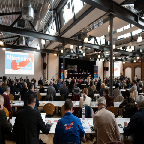 Hessen-AfD