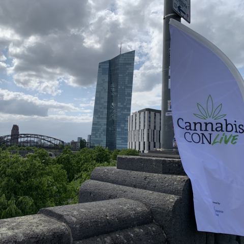 Cannabis-Legalisierung