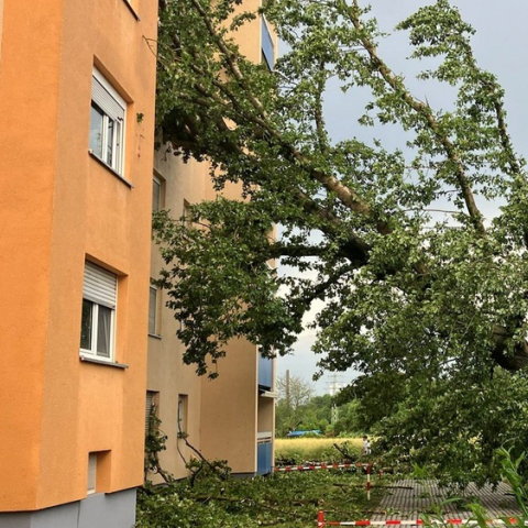 Bilanz nach Unwetter