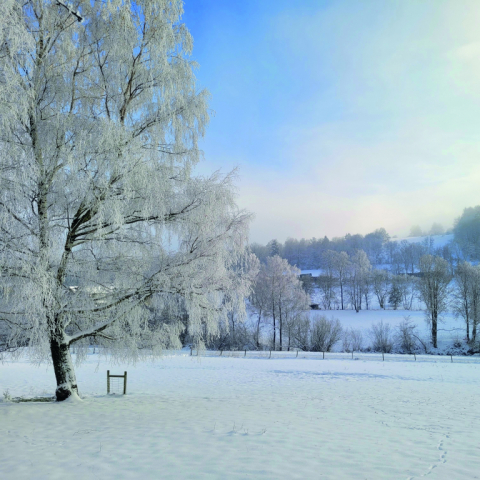 Schnee von gestern?