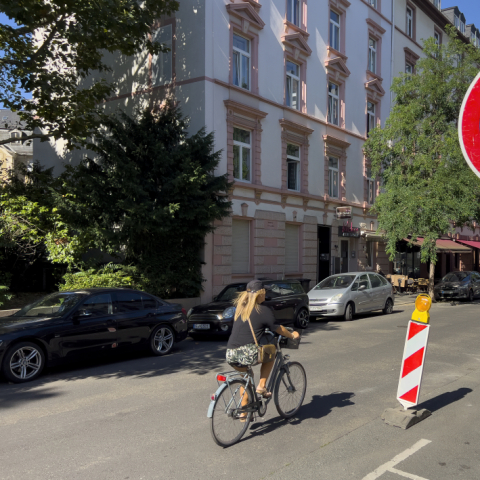 Mobilitätsdezernat Frankfurt